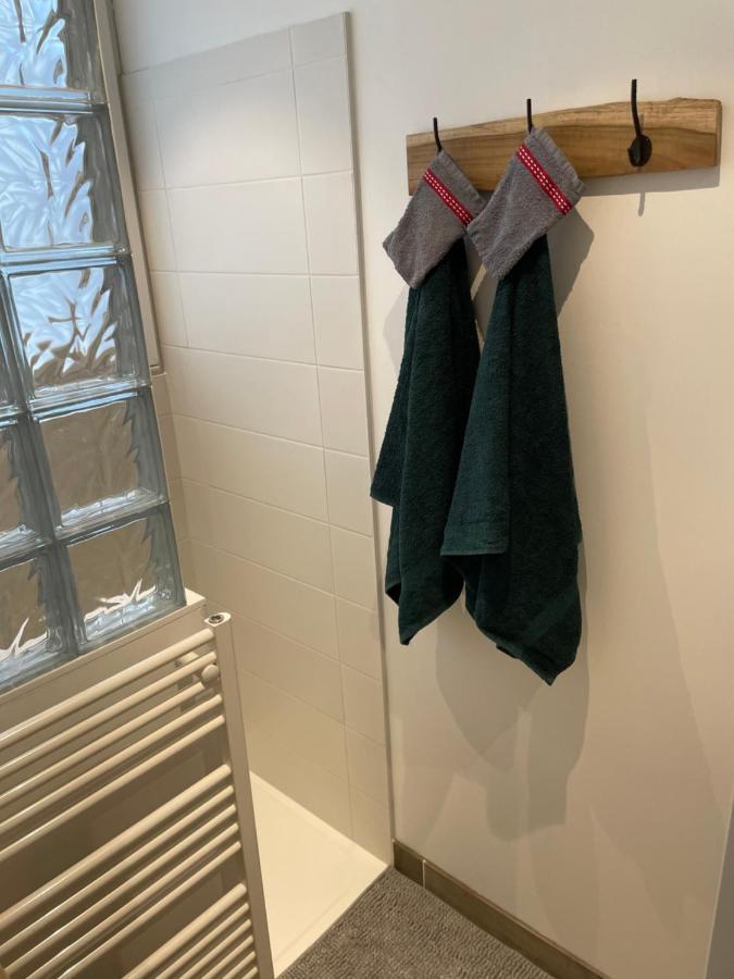 Appartement Du Lion Belfort Zewnętrze zdjęcie