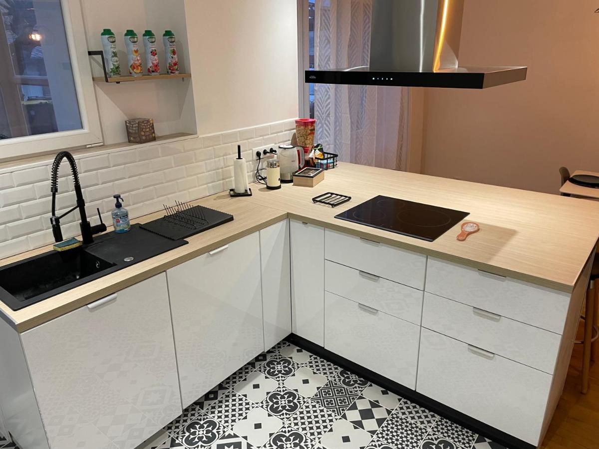 Appartement Du Lion Belfort Zewnętrze zdjęcie
