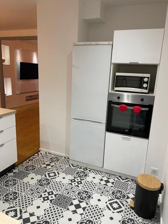Appartement Du Lion Belfort Zewnętrze zdjęcie