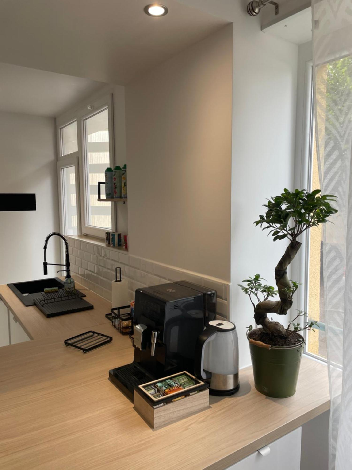 Appartement Du Lion Belfort Zewnętrze zdjęcie